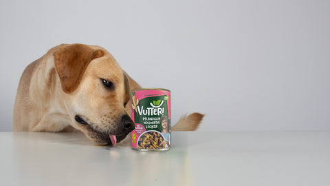 Wie wird ein Hundefutter gemeinsam mit einem Tierarzt entwickelt?