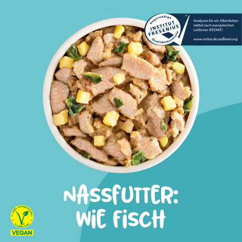 Nassfutter: Wie Fisch