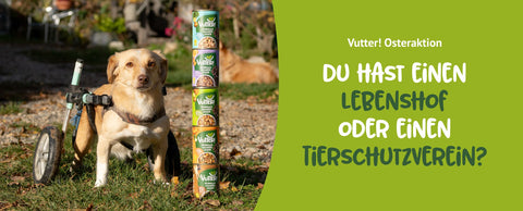 Hund mit einem Rollwagen an den Hinterbeinen steht neben einem Turm aus Vutter! veganes Nassfutter Dosen