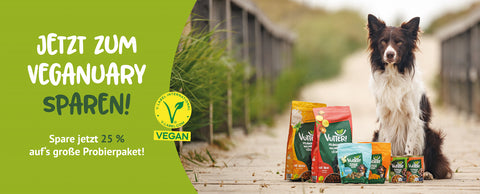 Jetzt zum Veganuary sparen! Hund mit Vutter! Produkten auf einer Brücke