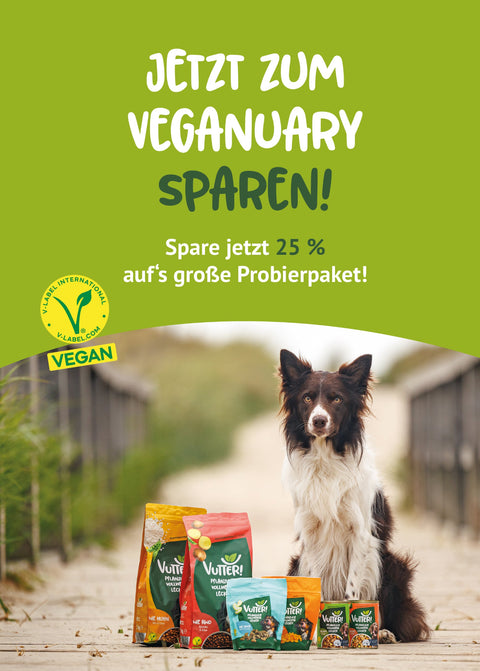 Spare jetzt 25 % auf das große Probierpaket von Vutter! im Veganuary