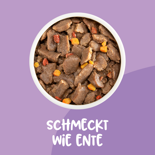 Schmeckt Wie Ente