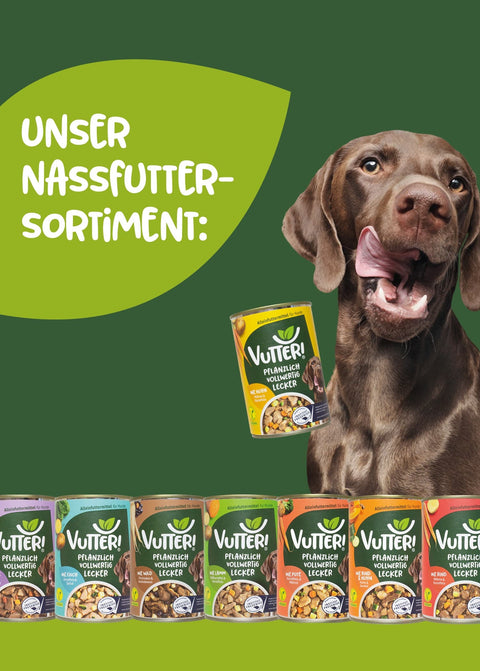 Unser Nassfutter-Sortiment von Vutter! besteht aus den Sorten wie Ente, wie Huhn, wie Fisch, wie Wild, wie Lamm, wie Pute, wie Huhn und wie Rind. Unten stehen alle Dosen nebeneinander aufgereiht. Dahinter sitzt ein brauner Hund, der sich das Maul schleckt.
