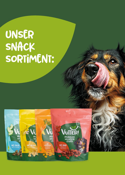 Unser Vutter! Snack Sortiment besteht aus den vier veganen Snacks wie Fisch, wie Huhn, wie Leberwurst und wie Rind. Neben vier Beuteln Snacks sitzt ein Hund, der sich mit der Zunge das Maul schleckt.