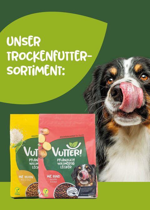 Unser veganes Trockenfutter Sortiment von Vutter! besteht aus den Sorten wie Rind und wie Huhn. Neben zwei Säcken Trockenfutter sitzt ein Hund, der sich das Maul mit der Zunge schleckt.