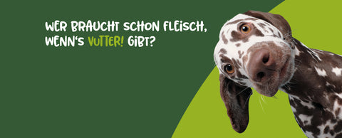 Wer braucht schon Fleisch, wenn's Vutter! gibt? Hund schaut aus dem Rand des Bildes