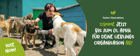 Stimme jetzt bis zum 1. April für deine Lieblings-Organisation bei unserer Vutter! Osterspendenaktion 2026 ab. Frau kniet neben zwei Hunden und hält eine Schüssel mit Wasser