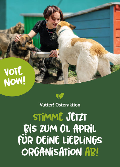 Stimme jetzt bis zum 1. April für deine Lieblings-Organisation bei unserer Vutter! Osterspendenaktion ab. Frau kniet neben zwei Hunden und hält eine Schüssel mit Wasser
