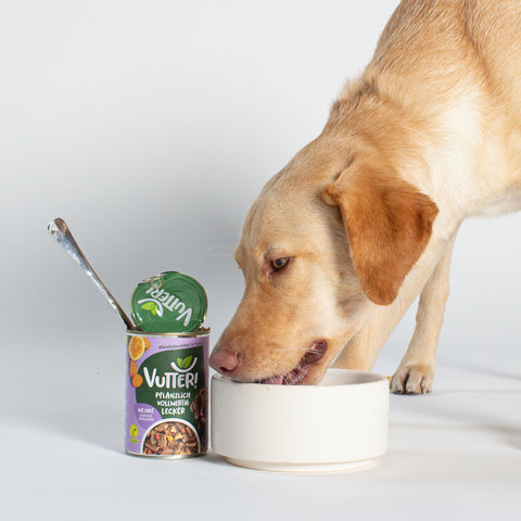 Unser Bürohund Ada frisst aus einem Napf gefüllt mit veganem Nassfutter wie Ente von Vutter!