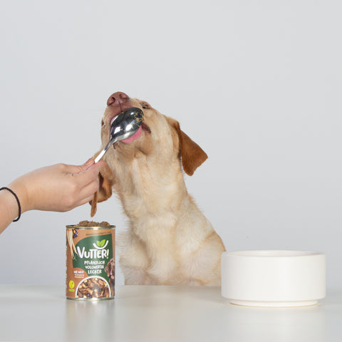 Unser Bürohund Ada schleckt an einem Löffel mit veganem Nassfutter wie Wild von Vutter!