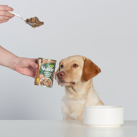 Unser Bürohund Nairobi schaut auf eine Dose mit veganem Nassfutter wie Wild von Vutter!