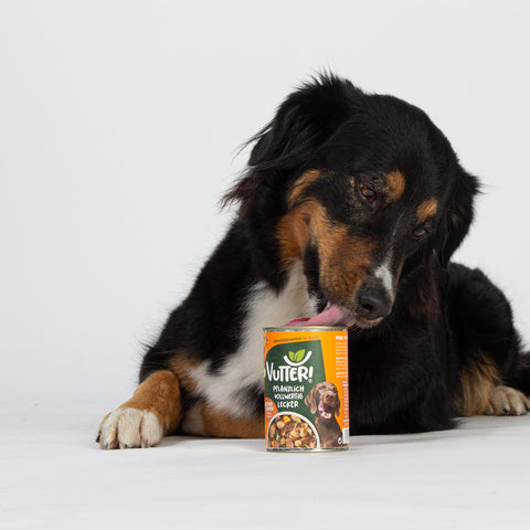 Unser Bürohund Lotta schleckt an einer Dose mit veganem Nassfutter wie Rind & Huhn von Vutter!
