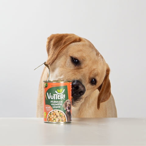Unser Bürohund Aviero schleckt an einem Napf mit veganem Nassfutter wie Pute von Vutter!