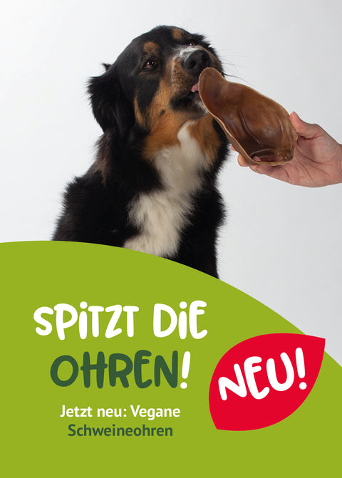 Banner mit Lotta und unserem neuen veganen Schweineohr