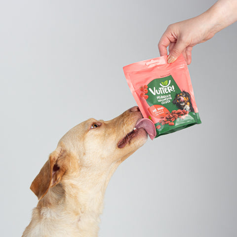 Unser Bürohund Ada schleckt an einer Tüte mit veganen Leckerli wie Rind von Vutter!