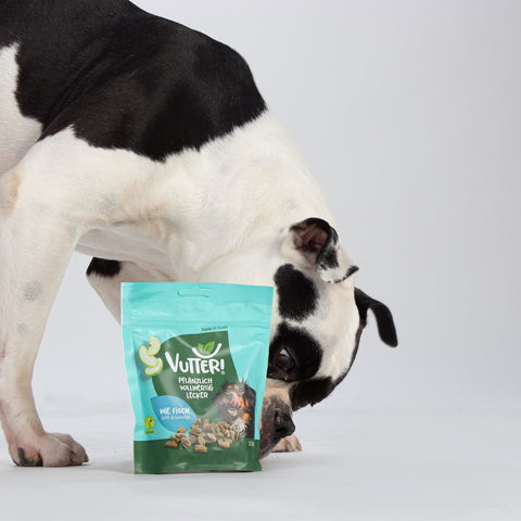 Unser Bürohund Nairobi schnüffelt an einer Tüte mit veganen Leckerli wie Fisch von Vutter!