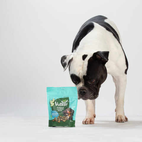 Unser Bürohund Nairobi schnüffelt an einer Tüte mit veganen Leckerli wie Fisch von Vutter!