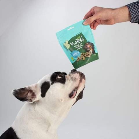 Unser Bürohund Nairobi schaut nach oben und schnüffelt an einer Tüte mit veganen Leckerli wie Fisch von Vutter!