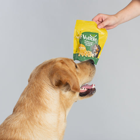 Unser Bürohund Aviero schaut nach oben und schnüffelt an einer Tüte mit veganen Leckerli wie Huhn von Vutter!