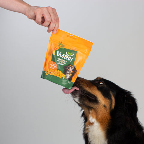 Unser Bürohund Lotta schaut nach oben und schnüffelt an einer Tüte mit veganen Leckerli wie Leberwurst von Vutter!