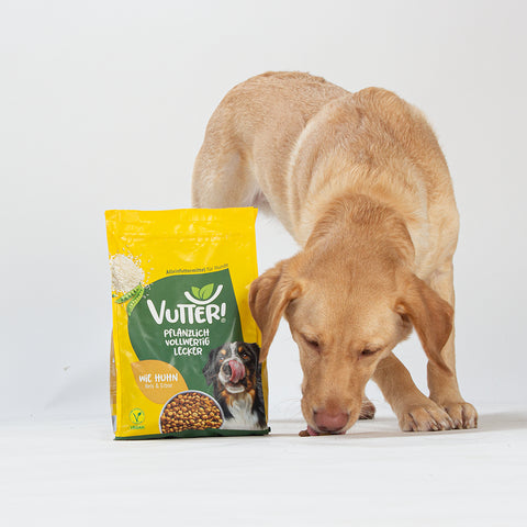 Unser Bürohund Ada schnüffelt an einem Beutel mit veganem Trockenfutter wie Huhn von Vutter!