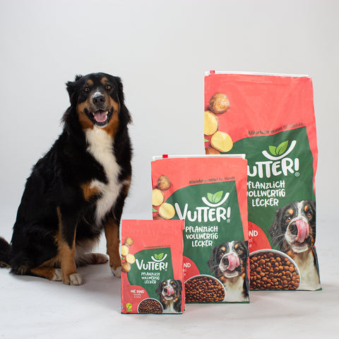 Unser Bürohund Lotta sitzt neben unserem veganen Trockenfutter wie Rind von Vutter! in den Größen 1 kg, 4 kg und 12 kg
