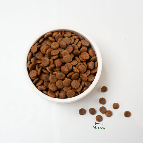 Ein Napf mit unserem veganem Trockenfutter wie Rind von Vutter!