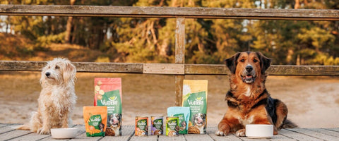 Zwei Hunde sitzen rechts und links von unseren Vutter! Produkte. Unser veganes Nassfutter, Trockenfutter und unsere Snacks sind auf einem Steg vor einem Holzzaun aufgebaut.