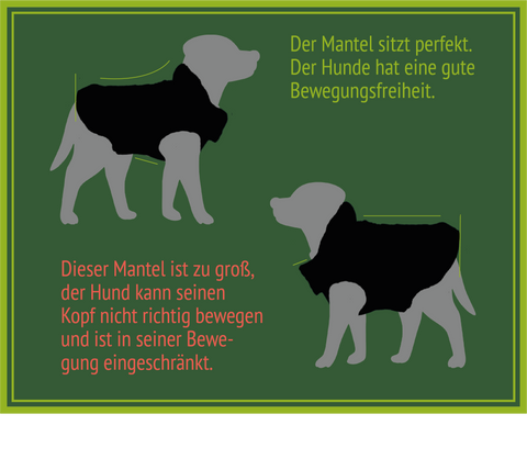 Darstellung Hundemantel richtiger Sitz