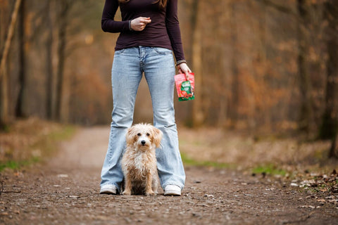 Hund steht zwischen den Beinen seines Frauchens mit einer Tüte Vutter! Snacks in der Hand